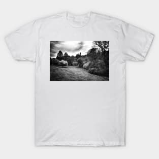 Landscape In Black And White T-Shirt